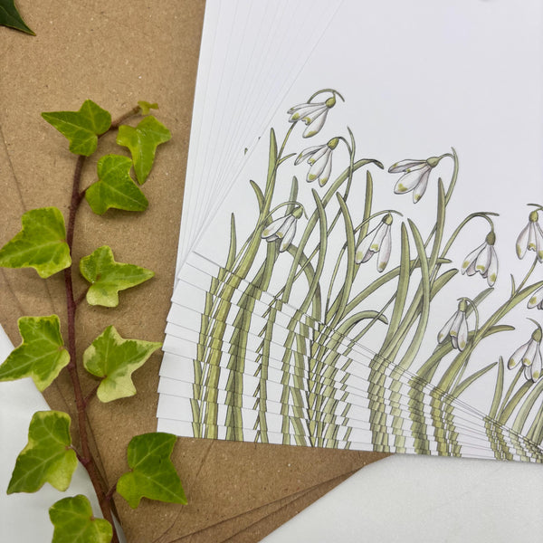 Writing Set - Snowdrops